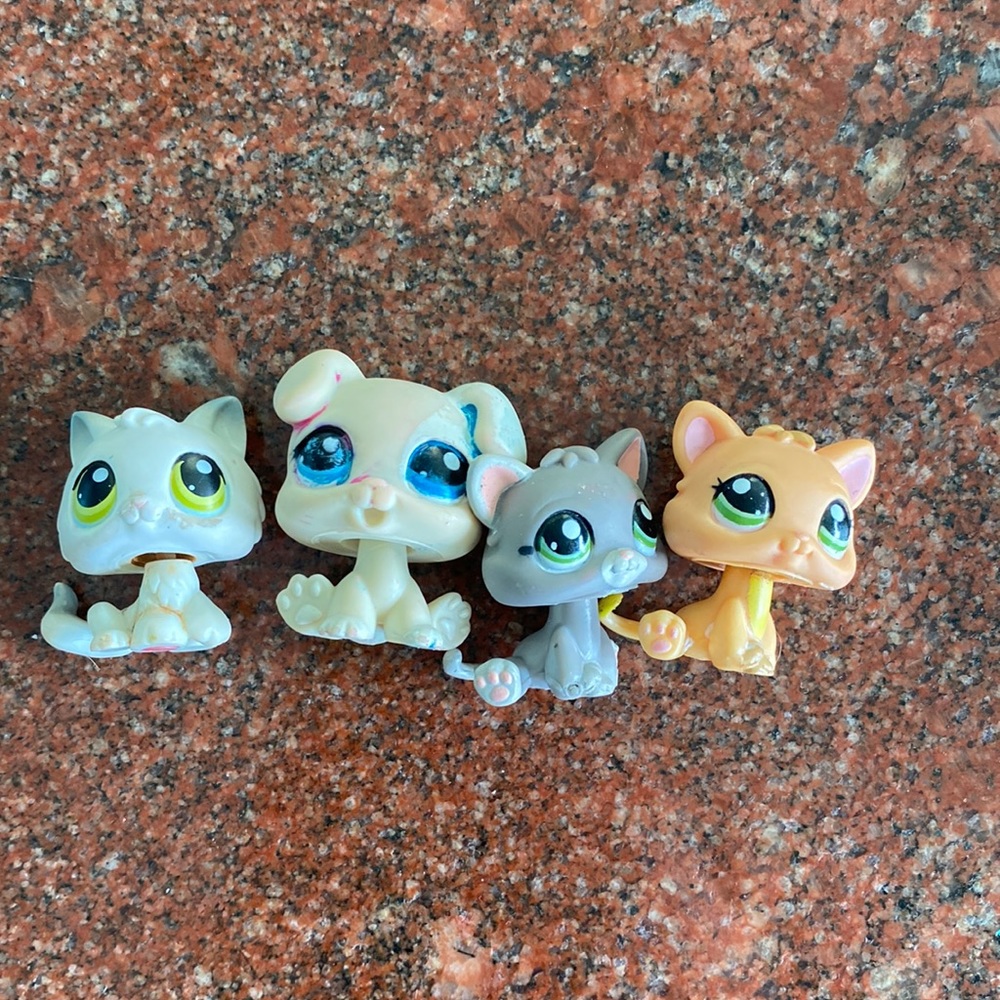 Lps kittens and puppies.